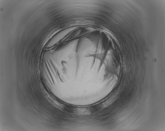 X0000068820794200605261549