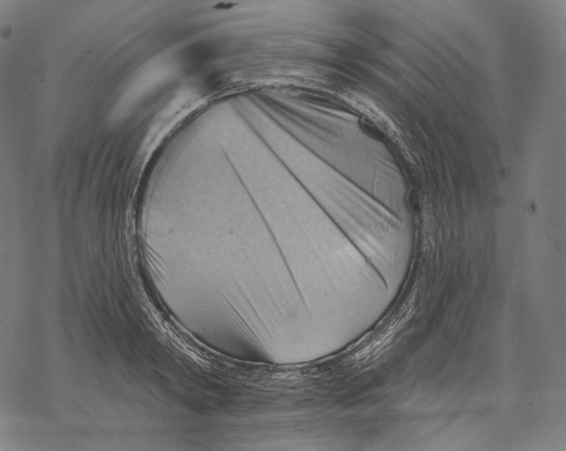 X0000068820798200605261549