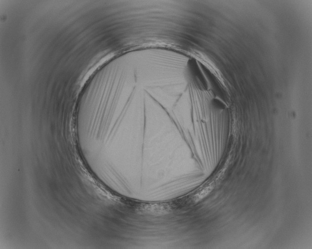 X0000068820806200605261549