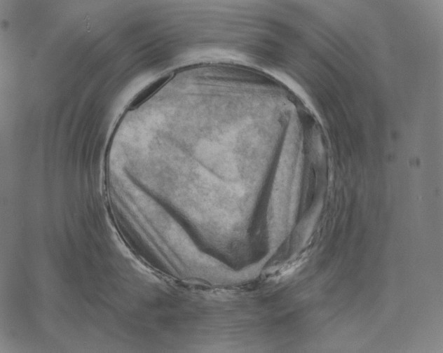 X0000068820815200605261549