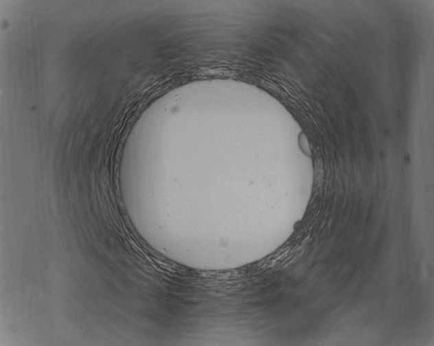 X0000068820817200605261548
