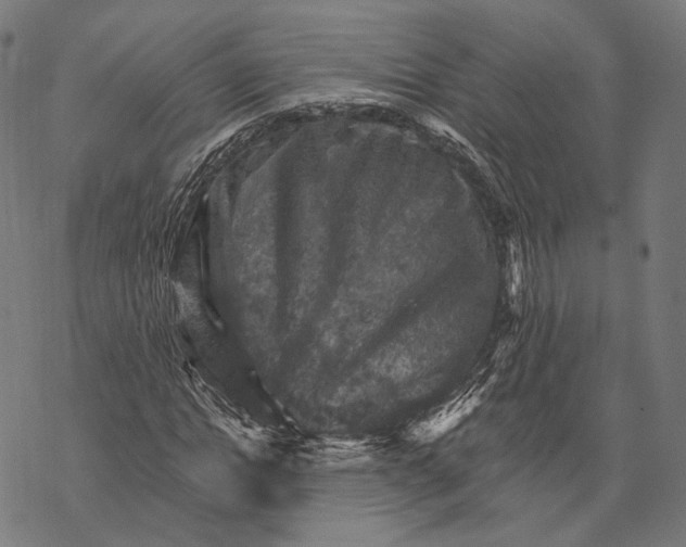 X0000068820822200605261548