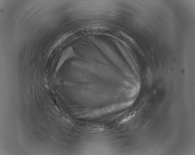 X0000068820823200605261548