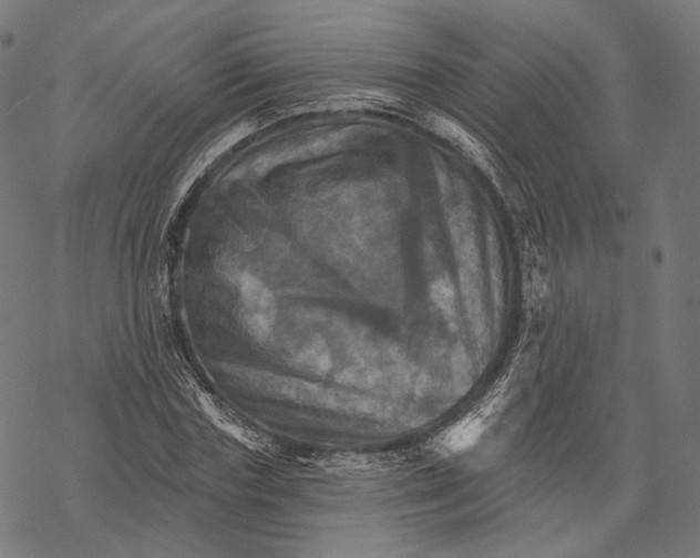 X0000068820827200605261548