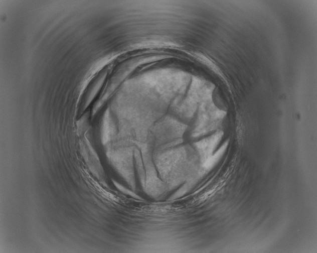 X0000068820831200605261548