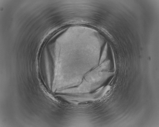 X0000068820840200605261548
