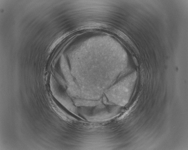 X0000068820842200605261549