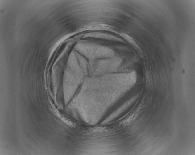 X0000068820846200605261549