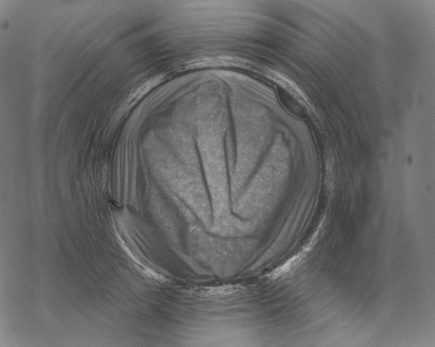 X0000068820849200605261549