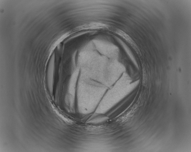 X0000068820850200605261549
