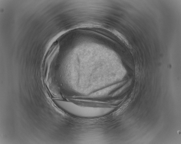X0000068820854200605261549