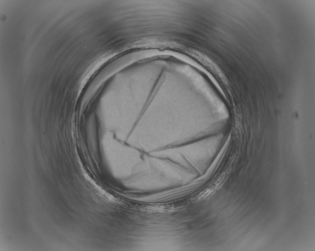 X0000068820855200605261549