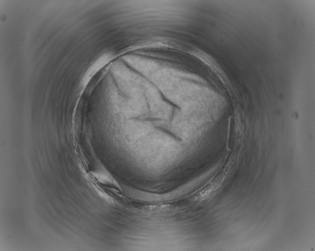 X0000068820858200605261549