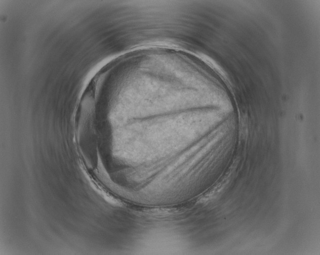 X0000068820862200605261549
