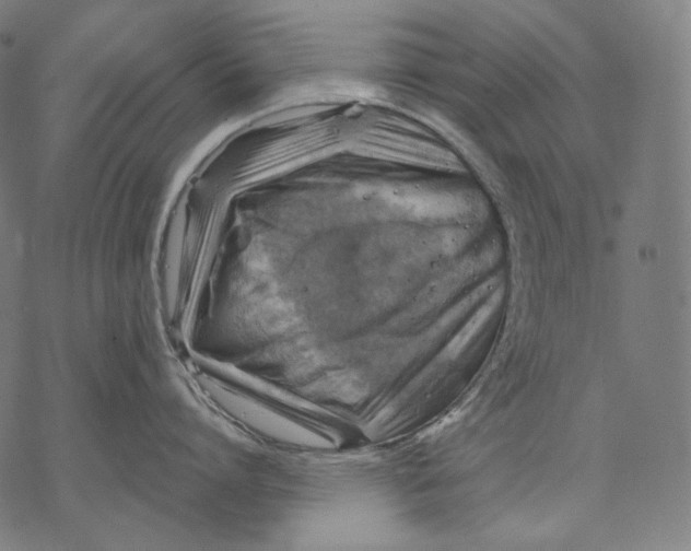 X0000068820864200605261549
