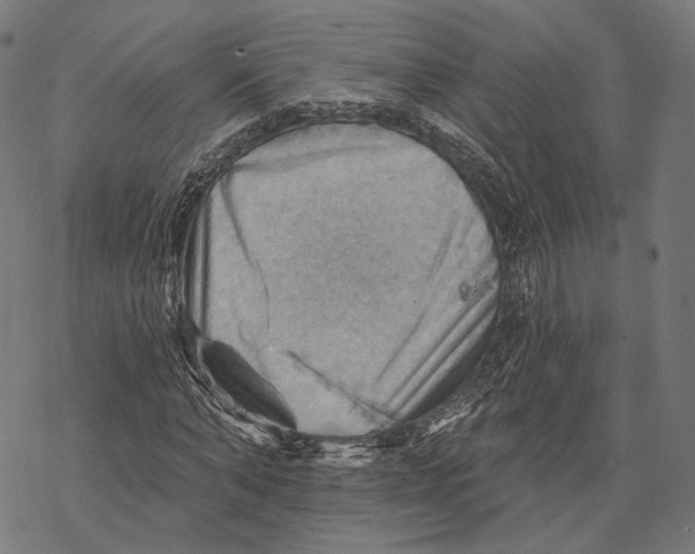 X0000068820870200605261548