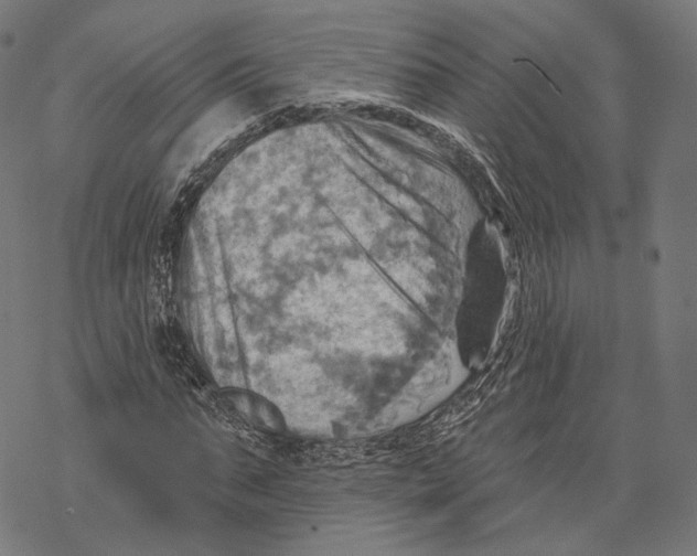 X0000068820871200605261548