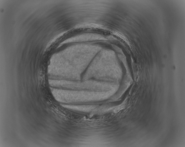 X0000068820872200605261548