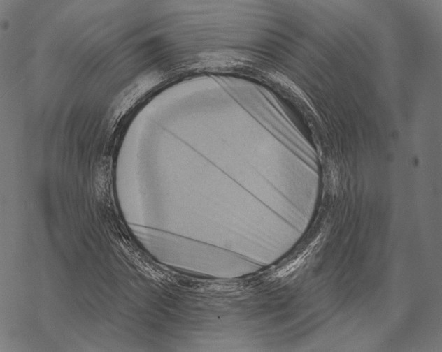 X0000068820874200605261548