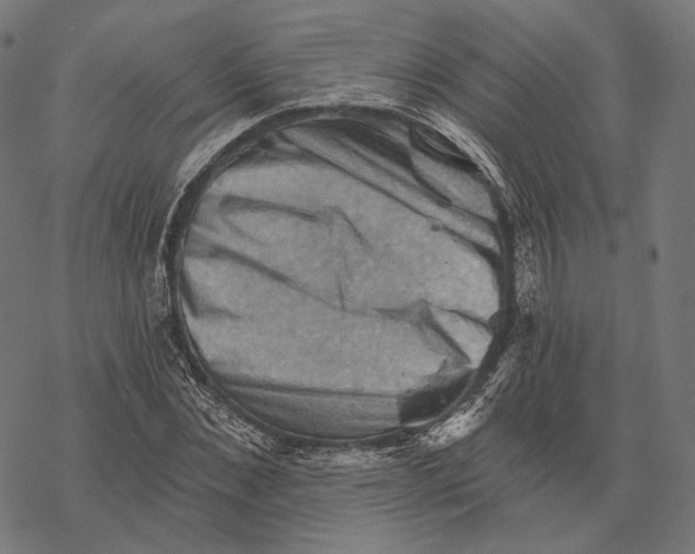 X0000068820876200605261548