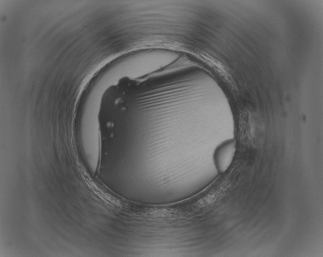 X0000068820880200605261548