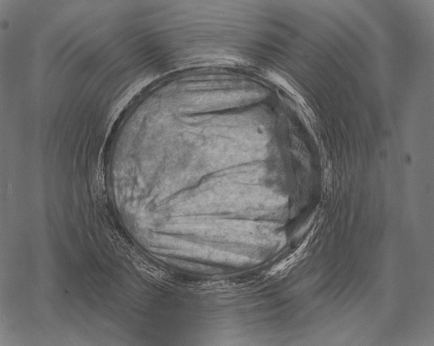 X0000068820883200605261548