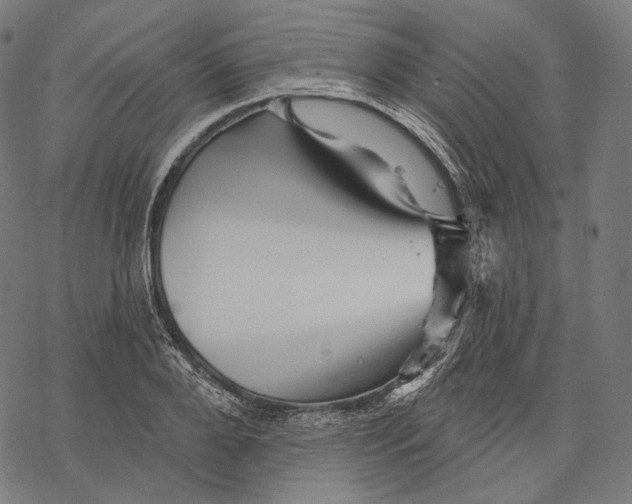 X0000068820888200605261548