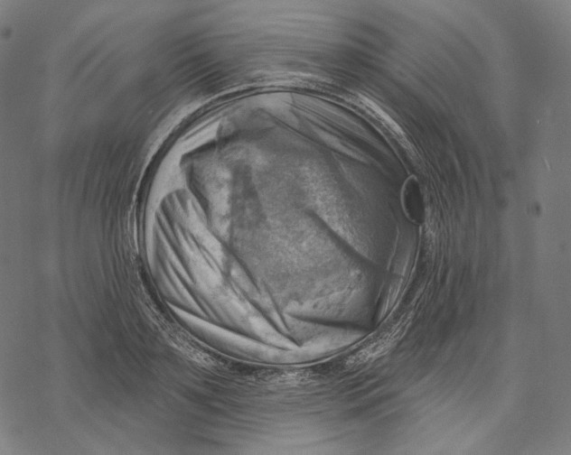 X0000068820891200605261548