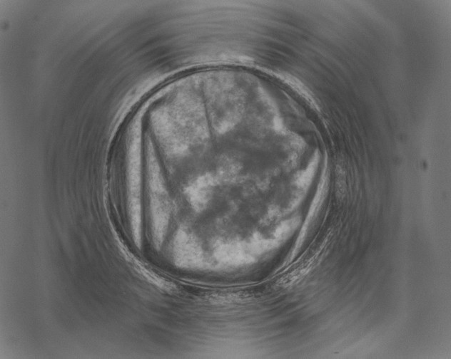 X0000068820895200605261548