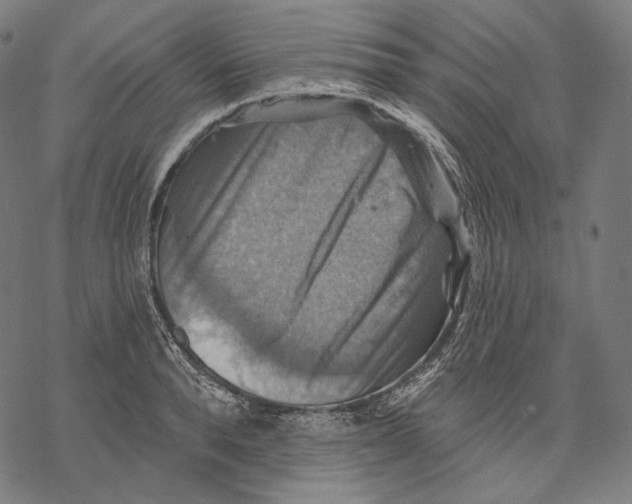 X0000068820896200605261547