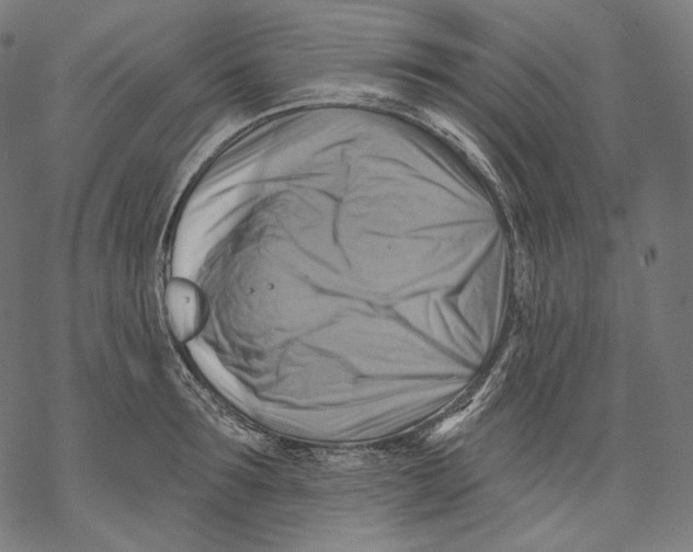 X0000068820899200605261547
