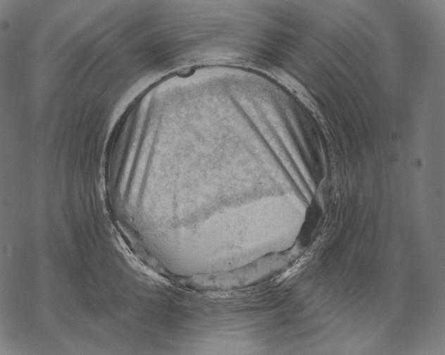 X0000068820904200605261547