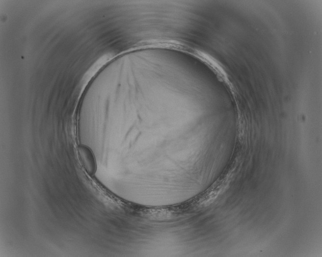 X0000068820907200605261547