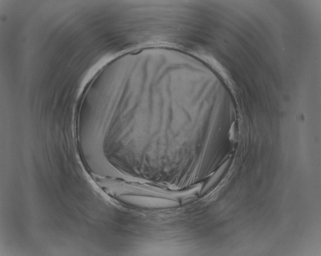 X0000068820910200605261547