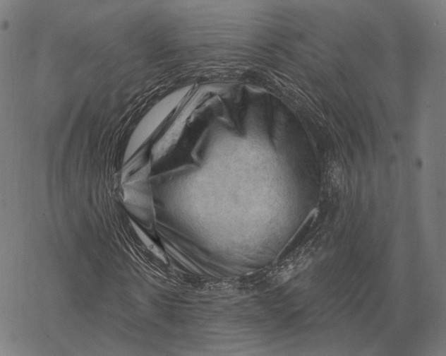 X0000068820914200605261546
