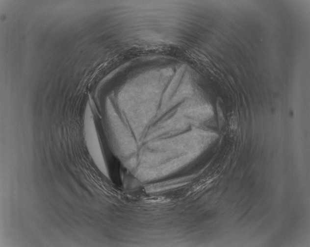 X0000068820916200605261547