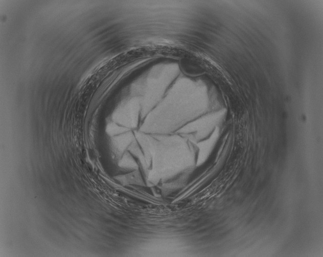 X0000068820919200605261547