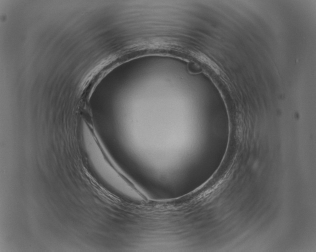 X0000068820922200605261547
