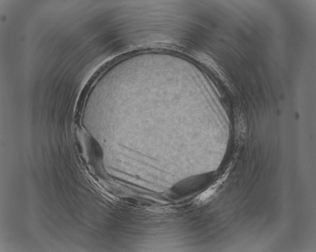 X0000068820924200605261547