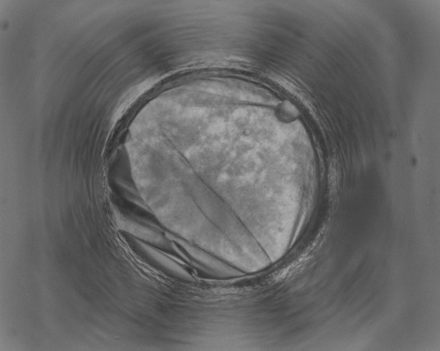 X0000068820925200605261547