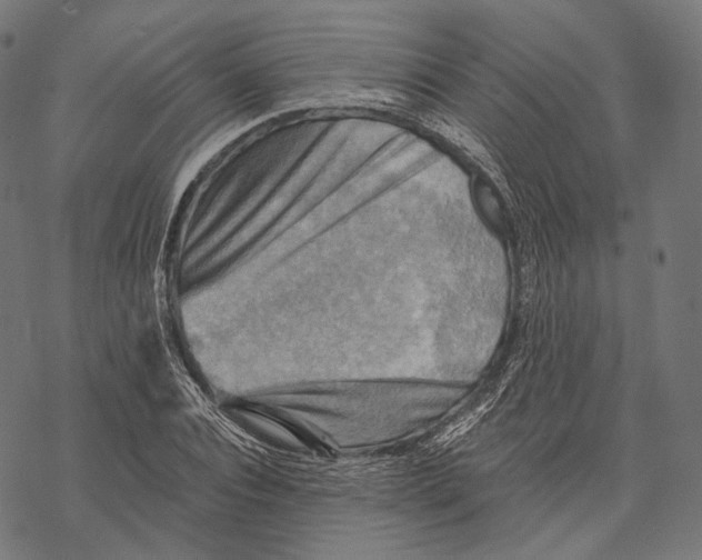 X0000068820928200605261547