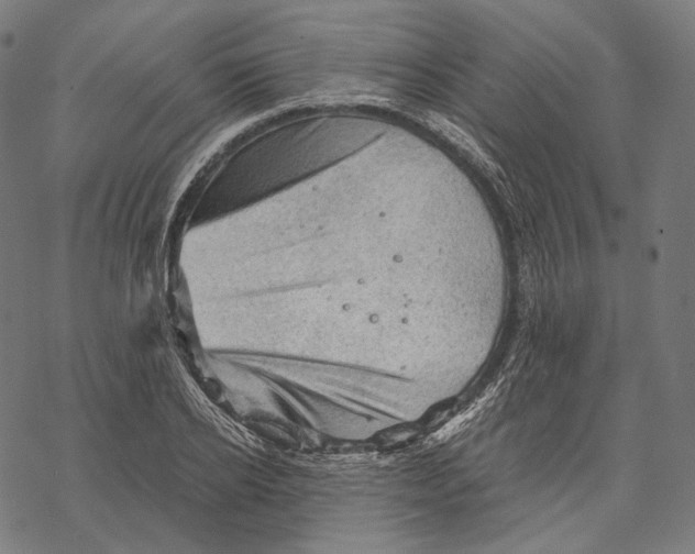 X0000068820934200605261547