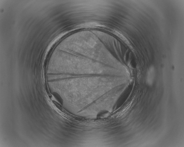 X0000068820939200605261547