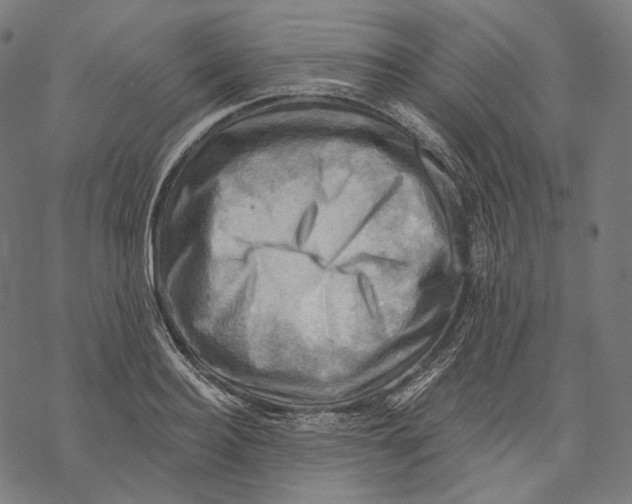 X0000068820940200605261547