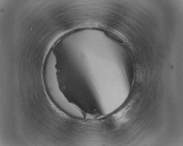 X0000068820942200605261547