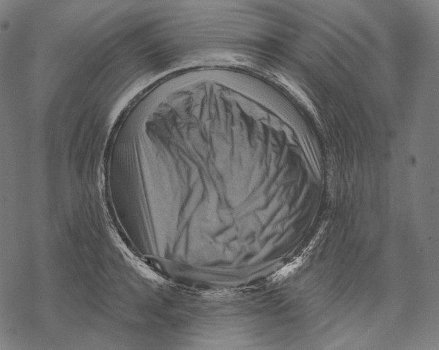 X0000068820944200605261547