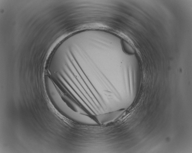 X0000068820947200605261547