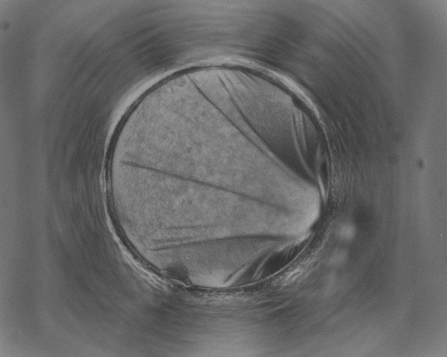 X0000068820951200605261547