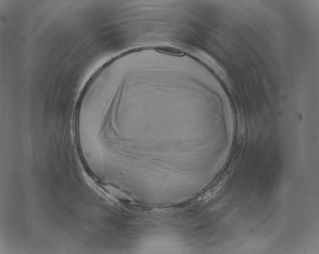X0000068820958200605261547