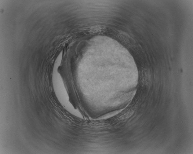 X0000068820962200605261546